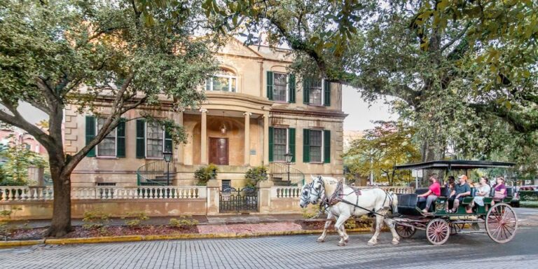 Savannah: Full Admission Tour Pass for 15 Tours