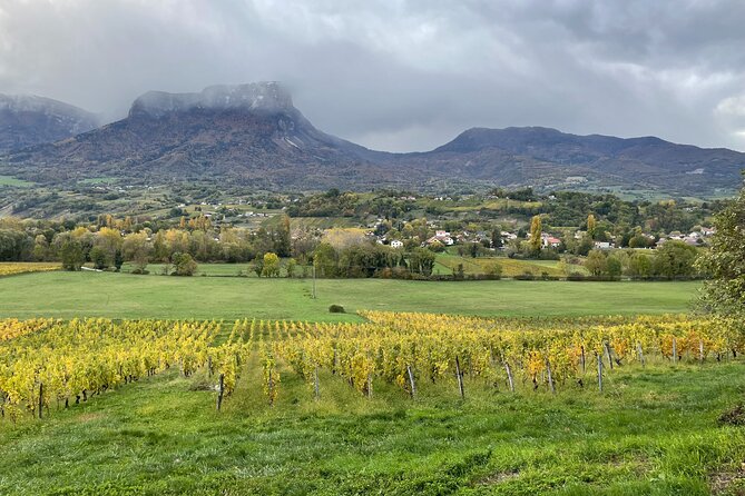 Savoie Wine Tour From Courchevel Winter Season - Key Points