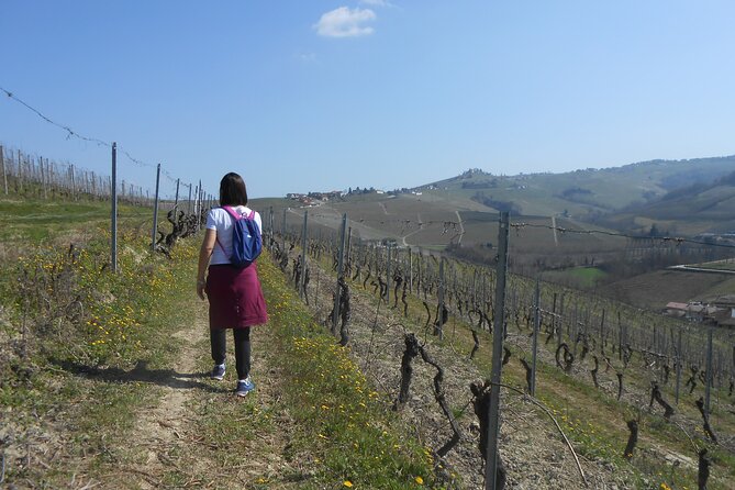 Scenic Langhe Hike and Wine Tasting From Alba  - Langhe-Roero and Monferrato - Key Points