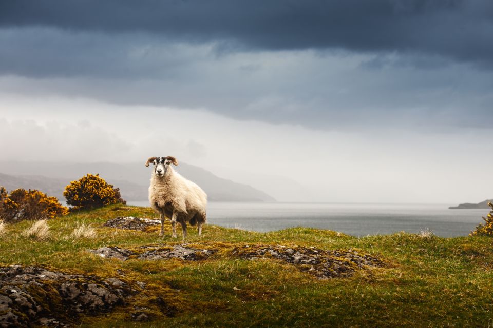 Scotland: West Highlands, Mull and Iona 4-Day Tour - Key Points