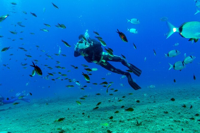 Scuba Diving Experience From Plakias - Key Points