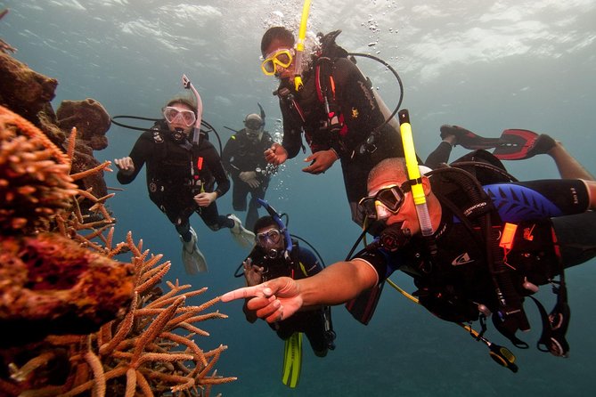 Scuba Diving For Beginners - Key Points