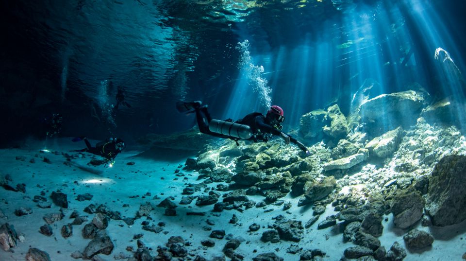 Scuba in 2 Cenotes in a Half-Day - Key Points