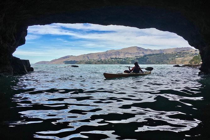 Sea Kayaking Christchurch, Lyttelton Harbour & Quail Island - Key Points