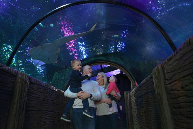 SEA LIFE Blackpool Admission Ticket - Key Points