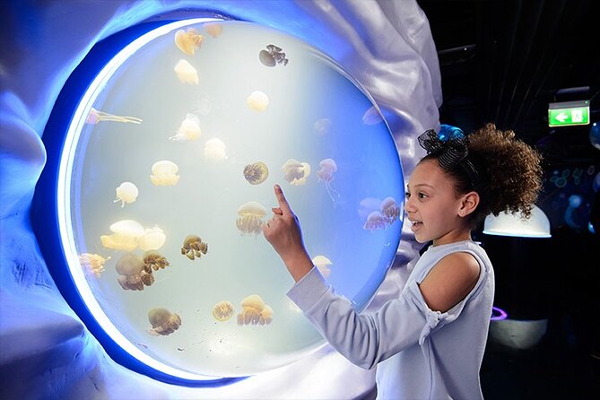 SEA LIFE London Aquarium Admission Ticket - Key Points