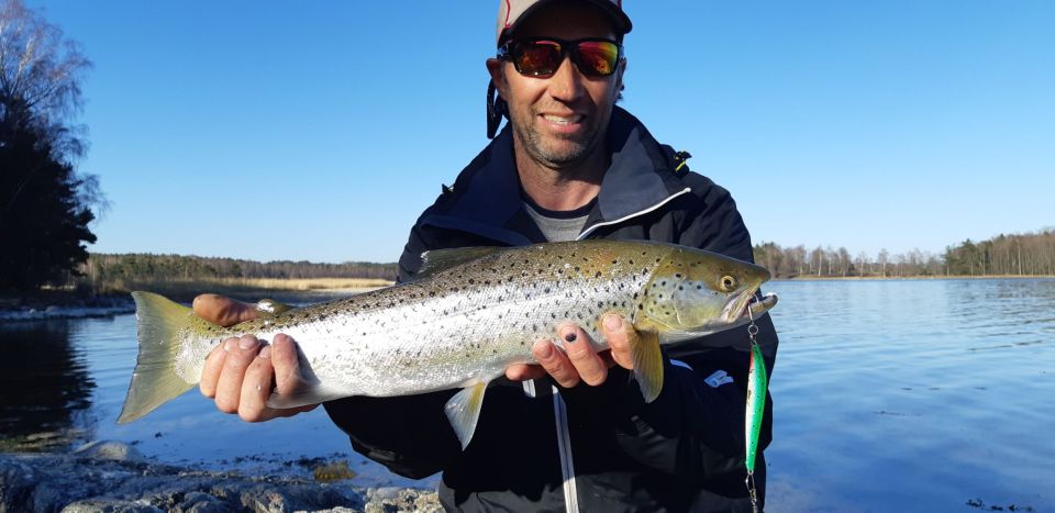 Sea Trout Fishing in the Stockholm Archipelago - Key Points