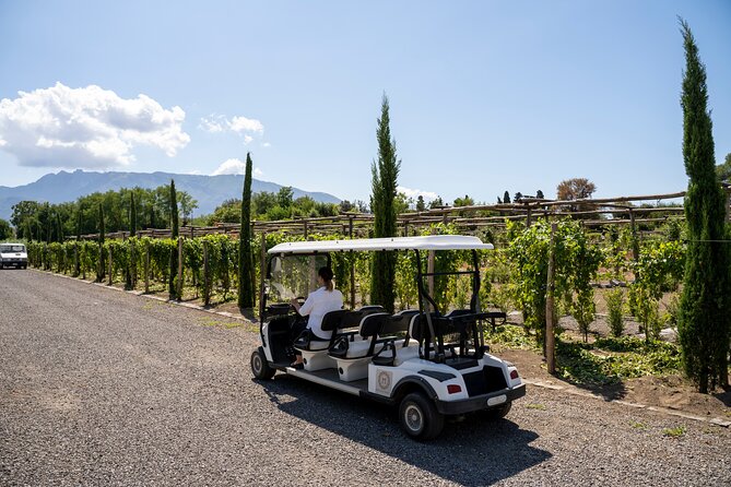 Seafood Lunch With Wine Tasting & Tour on a Golf Cart - Key Points