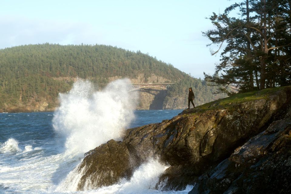 Seattle: Whidbey Island Deception Pass Winter Birding Trip - Key Points