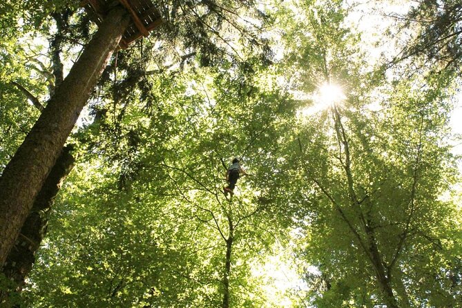 Seilpark High-Ropes Adventure Park Admission in Interlaken (Mar ) - Key Points