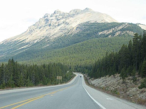 Self-Guided Audio Driving Tour in Icefields Parkway - Key Points