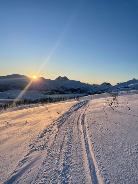 Senja Island: Winter Light and Snowshoeing, 1 Day 1 Night. - Key Points