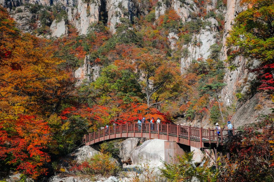 Seoul: Mt Seorak Hike With Naksansa Temple or Nami Island - Key Points