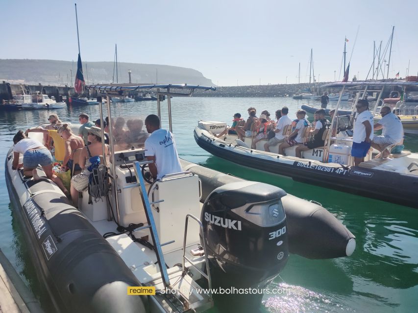 Sesimbra: Dolphin Watching Boat Tour With Biologist Guide - Key Points