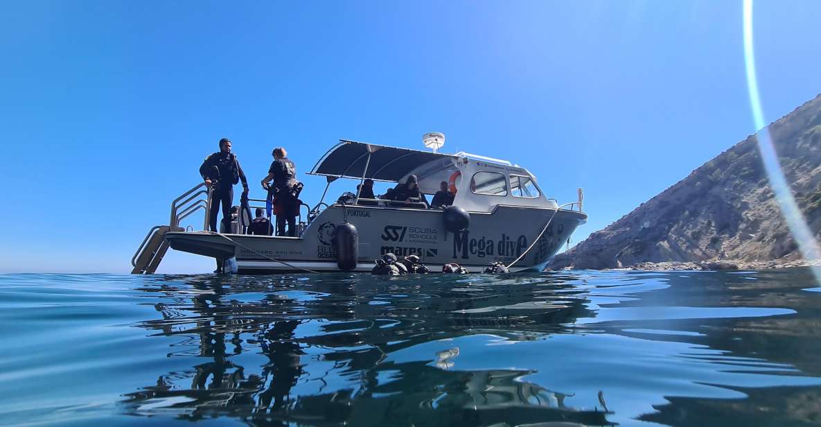 Sesimbra: Double Dive on a Marine Reserve - Dive Sites Overview