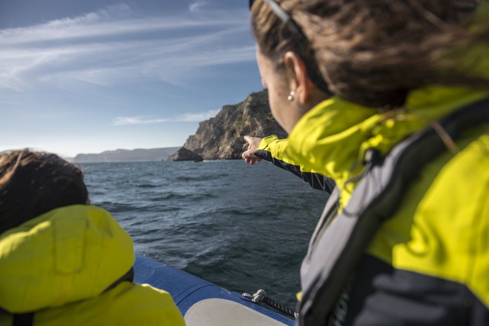 Sesimbra: Speedboat Tour of Arrabida Natural Park - Key Points