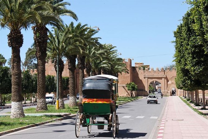 Shared Day Trip Agadir to Marrakech With Guide - Key Points