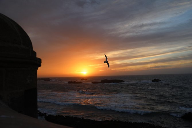 Shared Day Trip To Essaouira From Marrakech - Itinerary Highlights