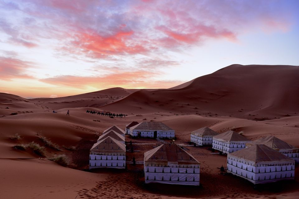 Shared Sahara Desert Tours From Marrakech - Key Points