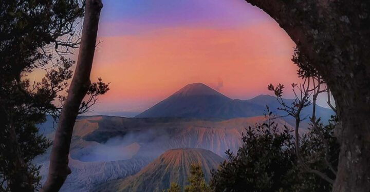 Shared Tour Bromo Start Cemorolawang Probolinggo - Key Points