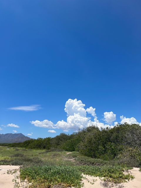 Shark Island: Tour of the Largest Island in Mexico - Tour Duration and Guide Information