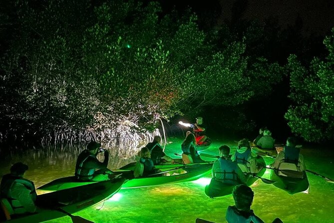 Sharkeys LED Illuminated Night & Sunset Tour on Glass Bottom Kayaks in Sarasota - Key Points