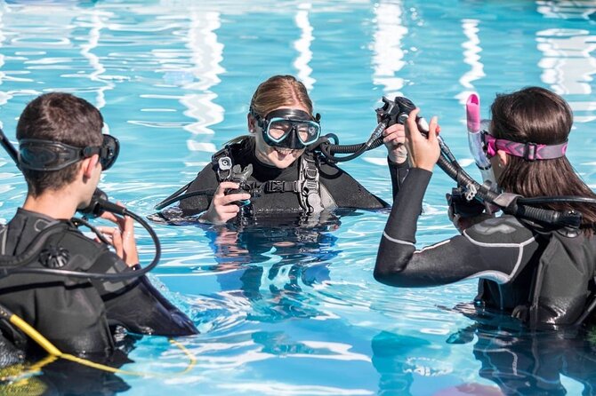 Sharm El-Sheikh PADI Discover Scuba Diving Experience  - Sharm El Sheikh - Key Points