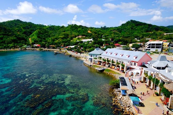 Shore Excursion: Roatan VIP Customizable Island Tour - Key Points