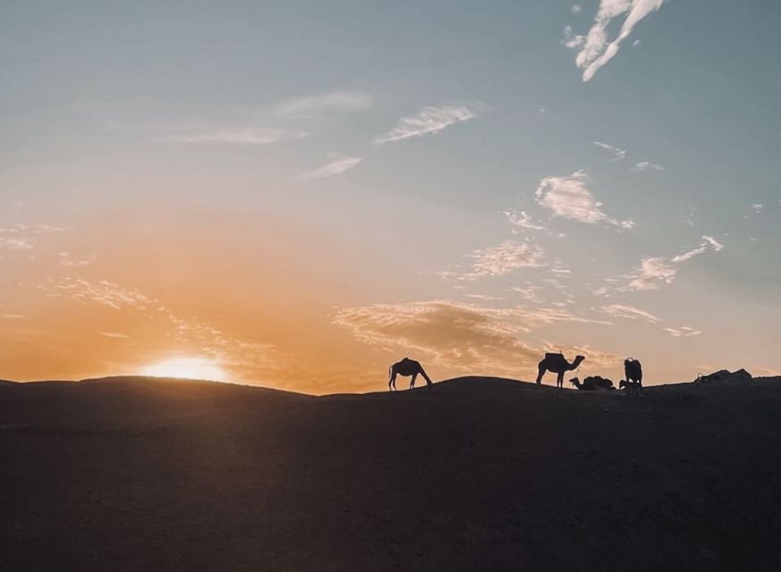 Show Dinner in Agafay Desert & Sunset Camel Ride - Key Points