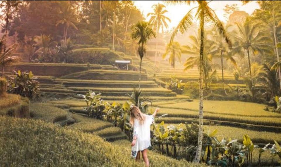 Sightseeing Ubud Riceterrace Water Temple and Waterfall Tour - Key Points