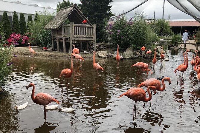 Sigtseeing Tour to Giethoorn and Orchideeënhoeve From Amsterdam - Tour Highlights