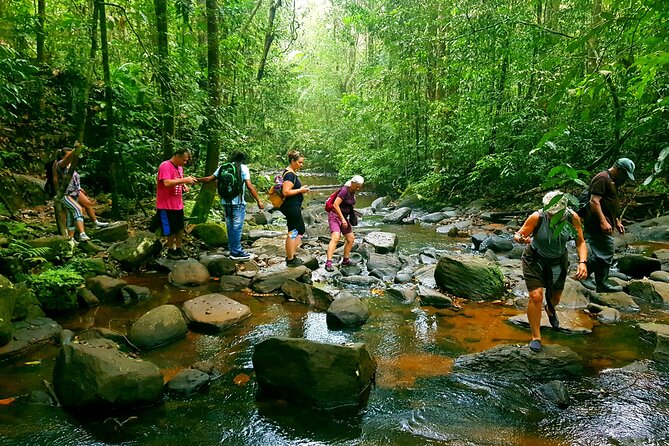 Sinharaja Forest Reserve Private Day Trip With Ranger Guide  - Bentota - Key Points