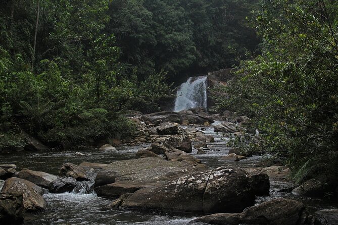 Sinharaja Forest Reserve (Sinharaja Rain Forest) Private Tour  - Galle - Key Points