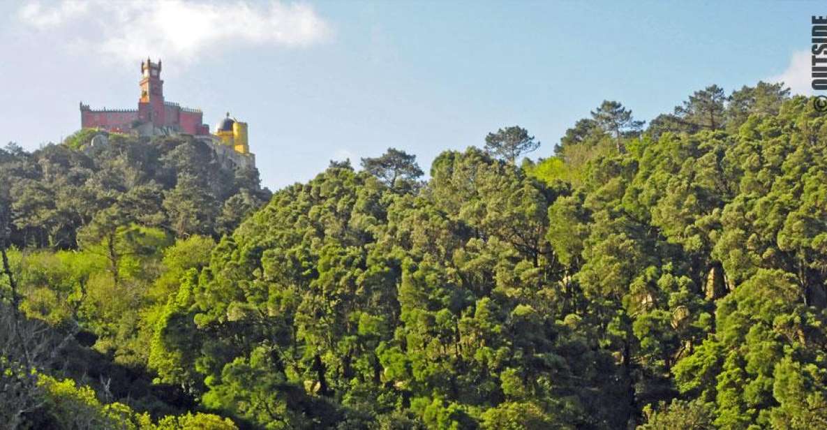 Sintra: 3.5-Hour Rock Climbing Experience - Key Points