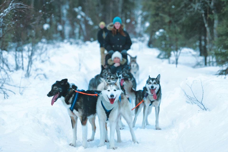 Sirkka: Husky Sled Ride in Levi - Key Points