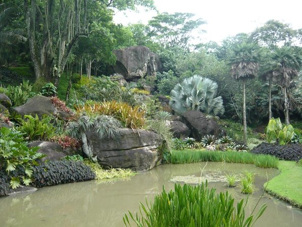 Sitio Roberto Burle Marx Guided Tour Ticket and Transfer - Key Points