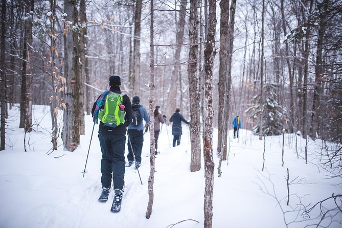 Skiing (Hok Ski) Excursion in Jacques-Cartier National Park - Key Points