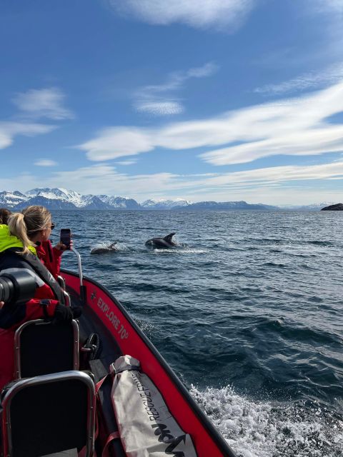 Skjervøy: Birds and Wildlife of Arctic Norway Tour