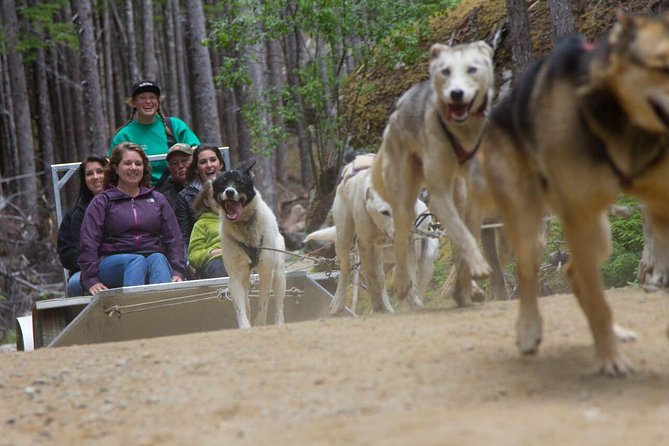 Sled Dog Discovery in Juneau - Key Points