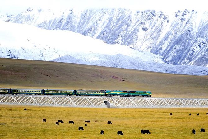 Small-Group 6-Night Lhasa to Everest Tour: Train From Xining - Key Points