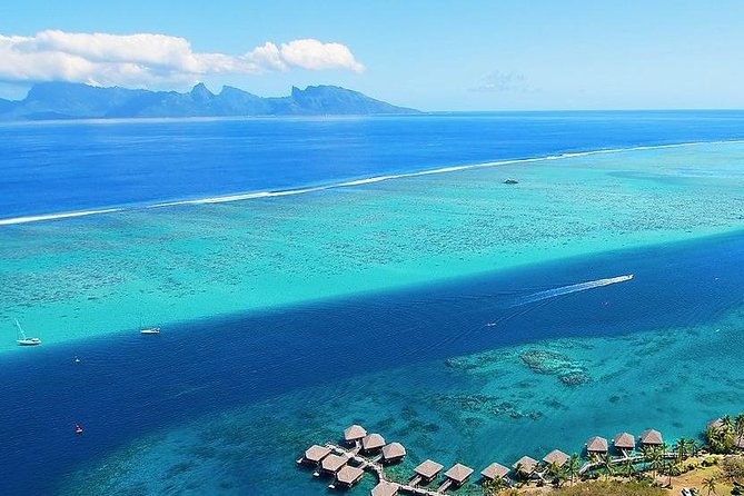 Small-Group 90-Minute Snorkeling Tour of Wrecks, Tahiti - Key Points