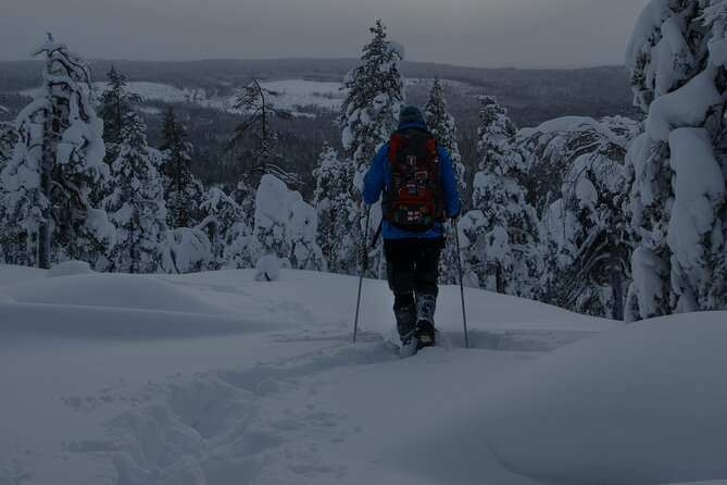 Small-Group Aurora Borealis Snowshoeing Adventure From Rovaniemi - Inclusions