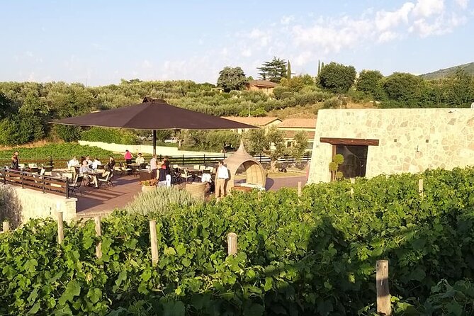 Small-Group Exclusive Winery and Wine Tasting Tour in Frascati - Key Points