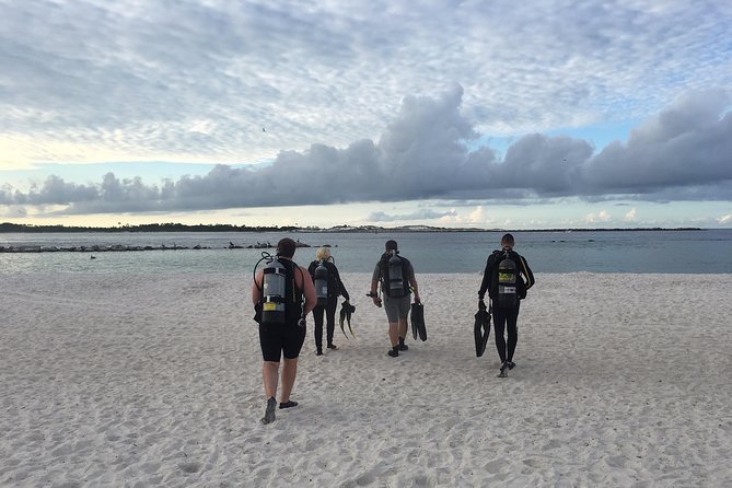 Small Group Guided Shore Dives in St. Andrews State Park, Florida - Key Points