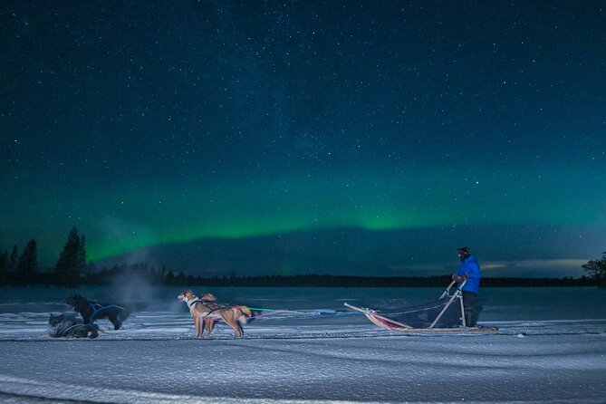 Small Group Northern Lights Mushing Experience in Rovaniemi