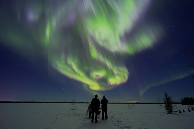 Small Group Northern Lights Tours In Interior Alaska From Fairbanks - Key Points