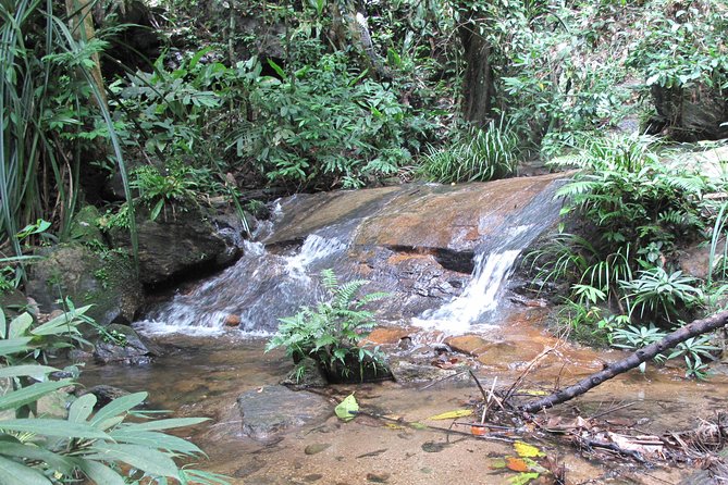 Small Group : Trekking Trip in Chiang Mai (Doi Suthep Area) With Market Tour - Group Size and Pricing