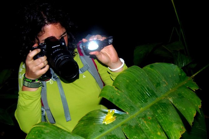 Small-Group Two-Hour Nighttime Wildlife Walk in the Forest  - Tortuguero - Inclusions and Logistics