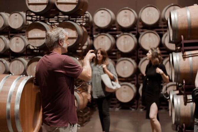 Small-Group Winery Tour and Tasting in Rioja - Tour Highlights