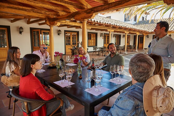 Small Group Wines and Flavours Guided Walking Tour